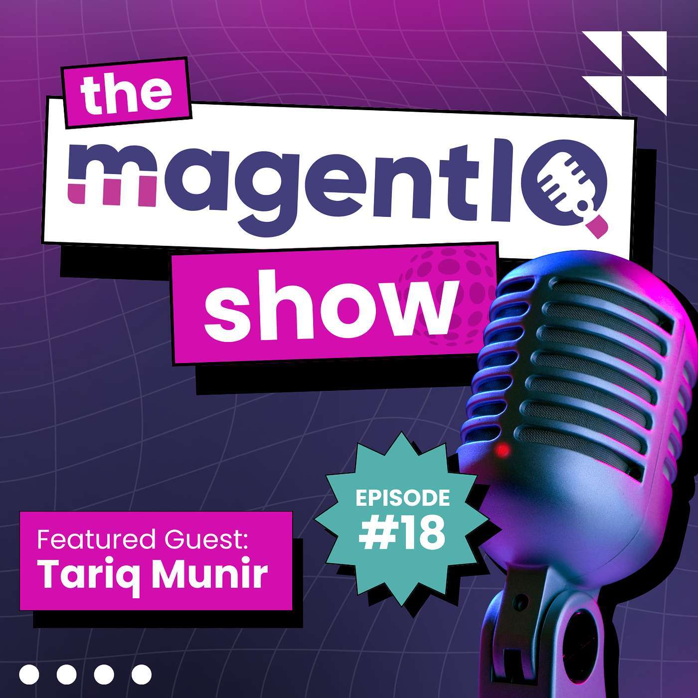 Ep. 18 | The First Rule of AI Is Do Not Start With AI (Guest: Tariq Munir)